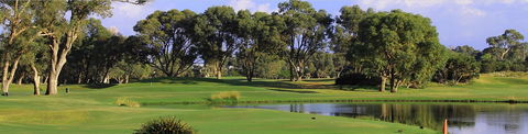 Meadow Springs Golf And Country Club - Accommodation NSW 0
