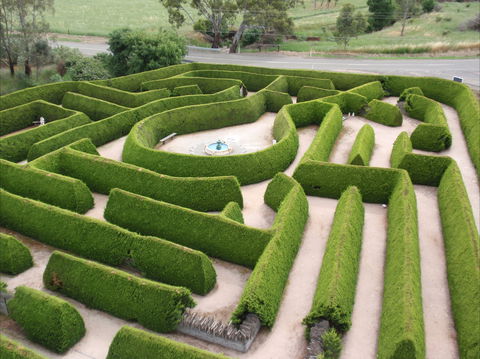 Mintaro Maze - Accommodation NSW 0