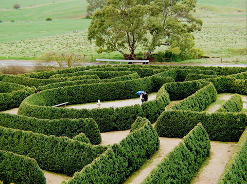 Mintaro Maze - Accommodation NSW 1