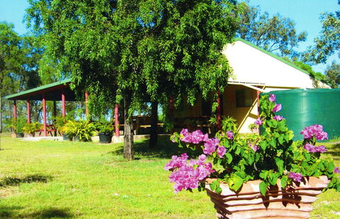 Miners Heritage Walk-In Mine - Accommodation NSW 0