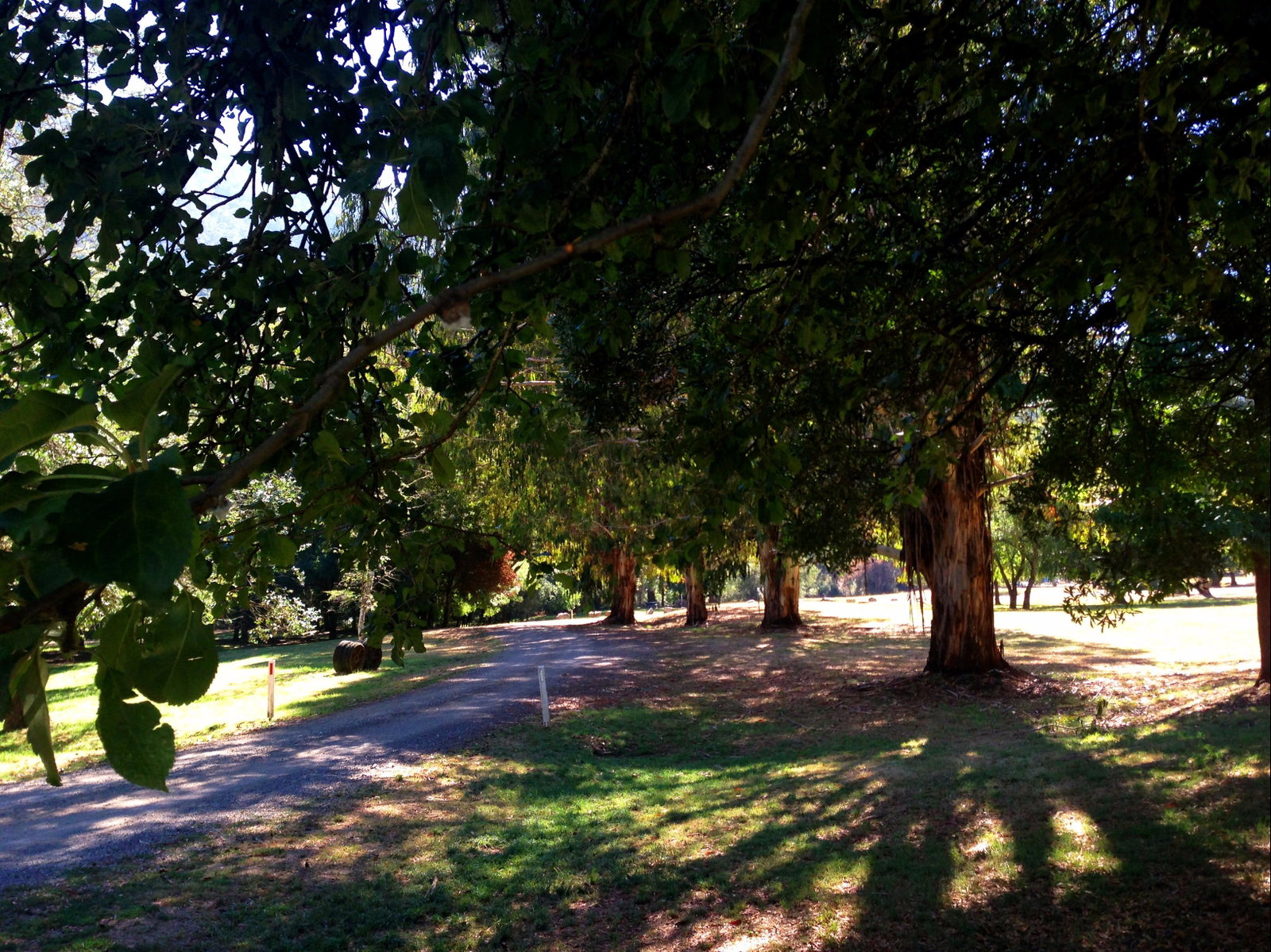 Mirimbah VIC Accommodation NSW