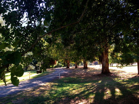 Mirimbah Park - Accommodation NSW 0