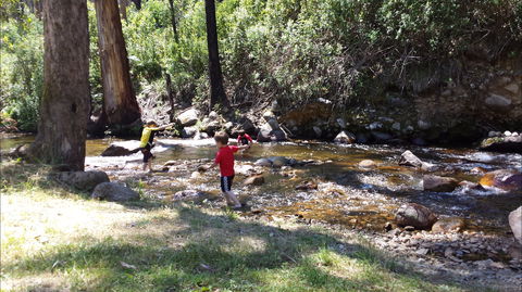 Mirimbah Park - Accommodation NSW 1