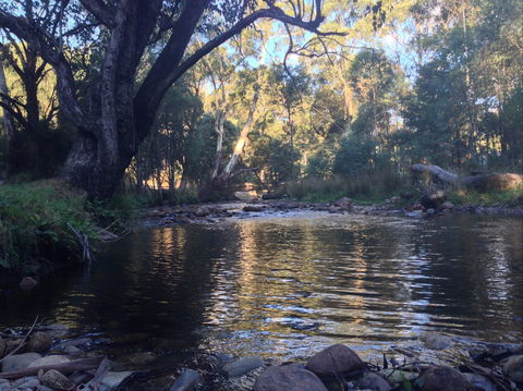 Mirimbah Park - Accommodation NSW 2