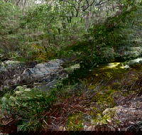 Mongarlowe River picnic area - Accommodation NSW