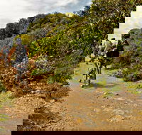 Mountain Biking Trails - Accommodation NSW