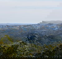 Mount Crawford Forest Reserve - Accommodation NSW