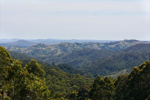 Mount Crawford Forest Reserve - Accommodation NSW 0