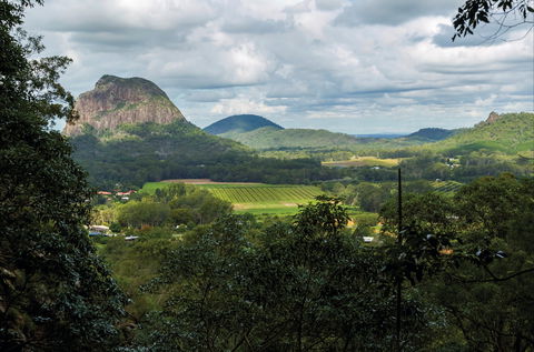 Mount Ngungun Summit Walking Track, Glass House Mountains National Park - Accommodation NSW 1