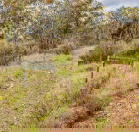 Old Mountain Road Walking Track - Accommodation NSW