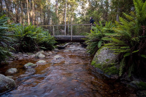 O'Neills Creek Picnic Reserve - Accommodation NSW 0