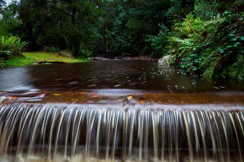O'Neills Creek Picnic Reserve - Accommodation NSW 1