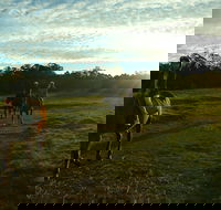 Scenic NSW Horse Riding Centre - Accommodation NSW