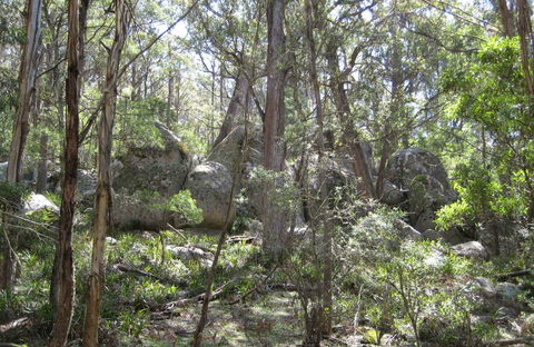 Tallaganda National Park - Accommodation NSW 0