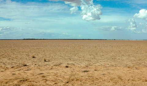 Toorale National Park - Accommodation NSW 0