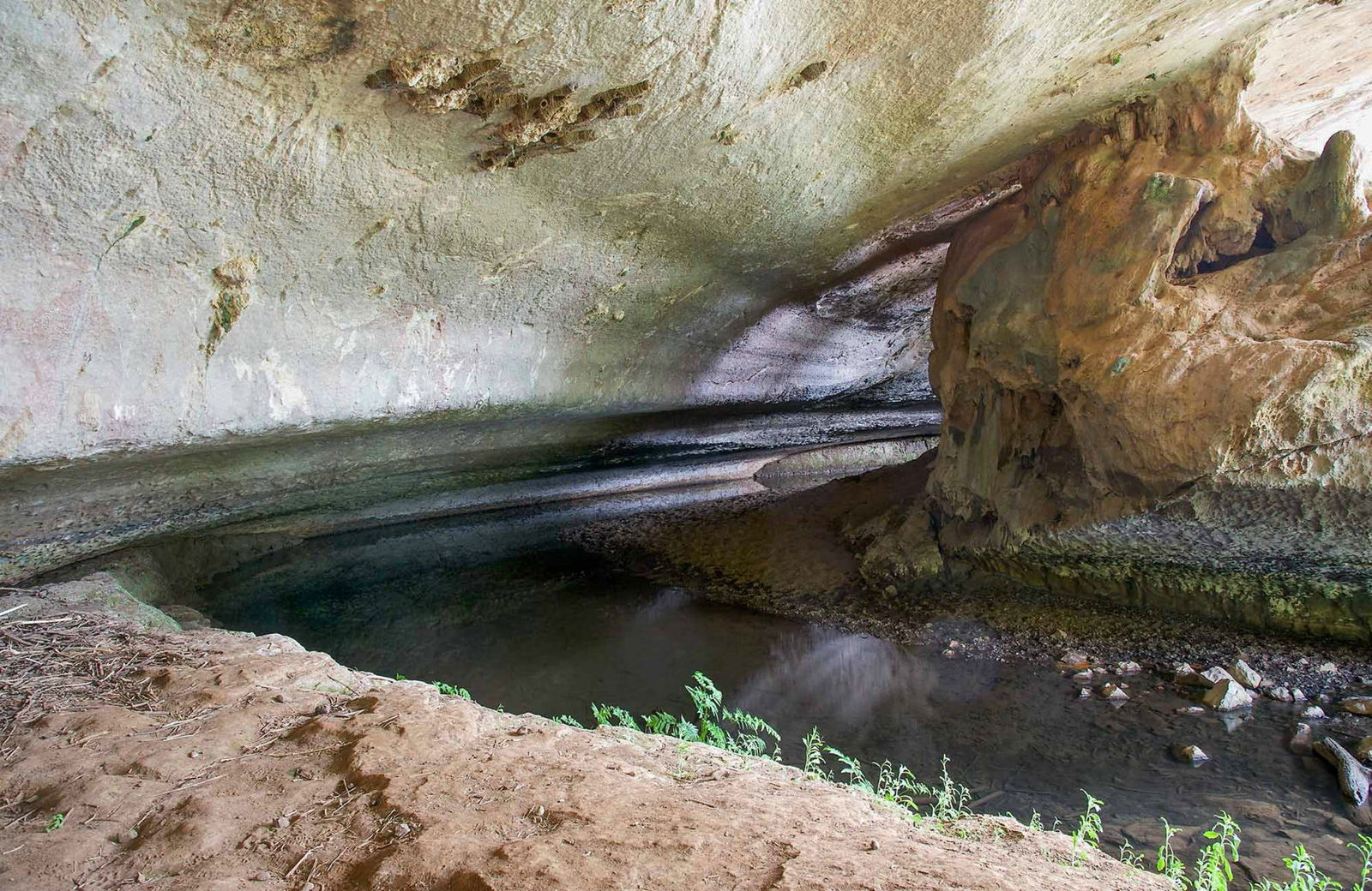 March NSW Accommodation NSW