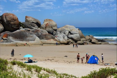 Wilsons Promontory National Park - Accommodation NSW 1