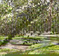 Wollomombi Gorge and Falls Picnic Area - Accommodation NSW