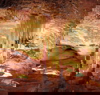 Jenolan Caves Ribbon Cave Tour - Accommodation NSW