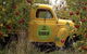 Sydney Winery And Cider Tour. - thumb 6
