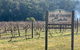 Sydney Winery And Cider Tour. - thumb 0