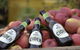 Sydney Winery And Cider Tour. - thumb 2