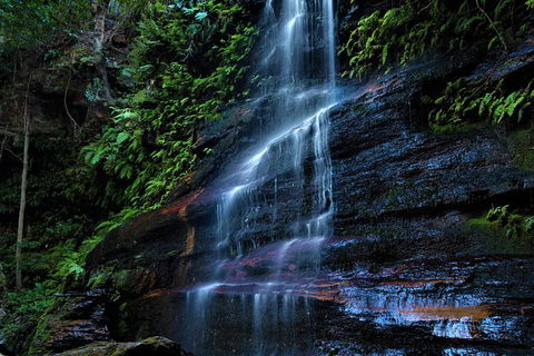 Blue Mountains Off The Beaten Track 4WD Day Adventure - Accommodation NSW 5