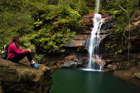 Blue Mountains Off The Beaten Track 4WD Day Adventure - Accommodation NSW 1