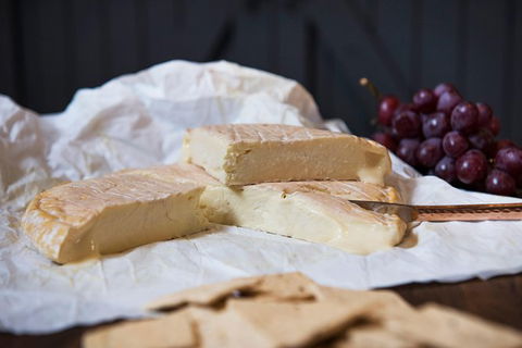 Artisan Cheese Tastings And Sales - Accommodation NSW 8