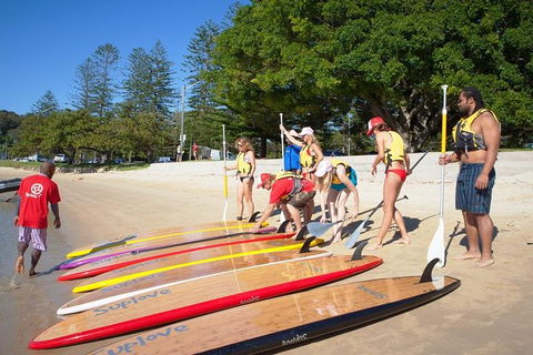 1 Hour Stand Up Paddle Board Rental - Accommodation NSW 2