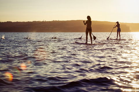 1 Hour Stand Up Paddle Board Rental - Accommodation NSW 1