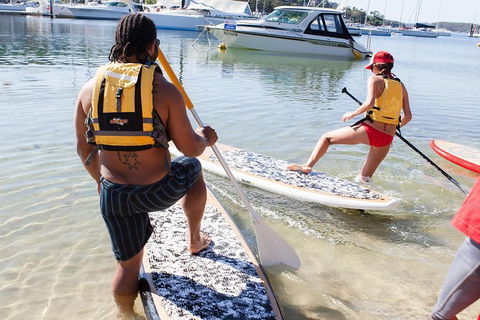 1 Hour Stand Up Paddle Board Rental - Accommodation NSW 4