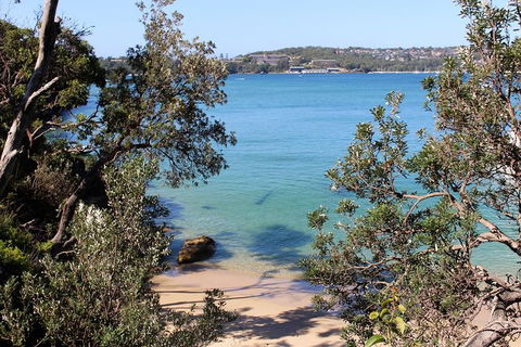 Sydney Harbour Walks - Accommodation NSW 9