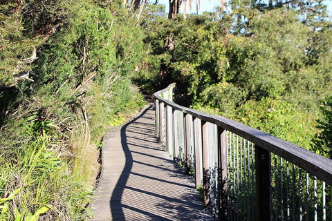 Sydney Harbour Walks - Accommodation NSW 4