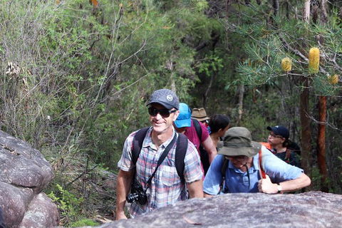 Sydney Harbour Walks - Accommodation NSW 1