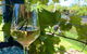 Letâ€™s Ride - Urunga To Raleigh Winery - thumb 0