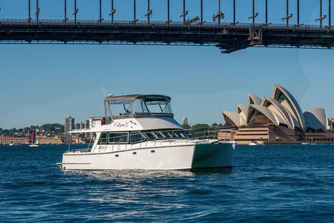 Vivid 90-Minute Sydney Harbour Small Group Catamaran Cruise - Accommodation NSW 2