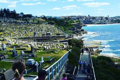 Bondi To Coogee Guided Walk - Accommodation NSW 1