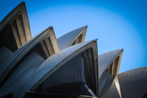 Private Sydney Harbour Sightseeing Cruise With Local Captain - Accommodation NSW 6