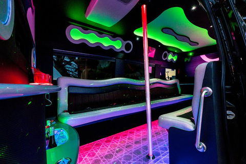 Private Group: Sydney To Hunter Valley Limo Wine Tasting - Accommodation NSW 1