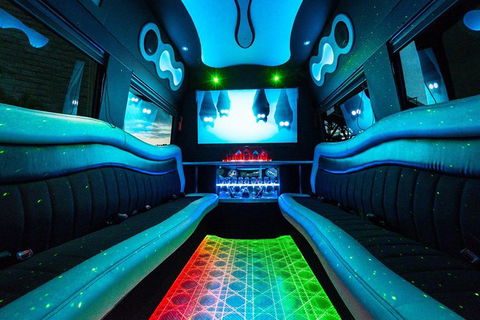 Private Group: Sydney To Hunter Valley Limo Wine Tasting - Accommodation NSW 3
