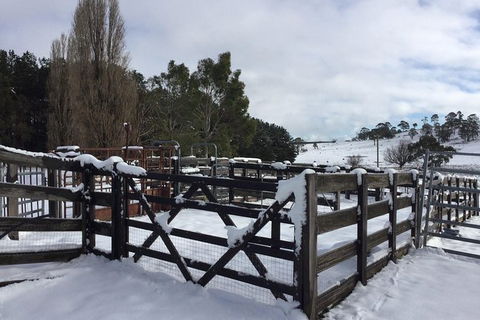 Paddock To Plate Farm Tour And Tasting - Accommodation NSW 11