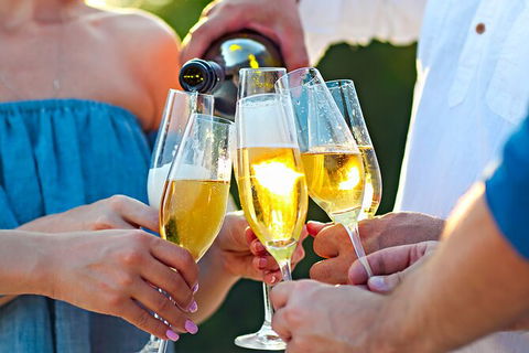 All-inclusive Morning Wine Tour In Orange - Accommodation NSW 9