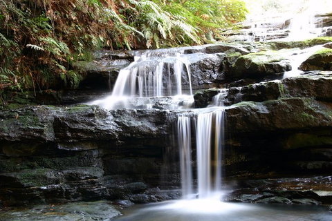 Private 10-hour Tour To Blue Mountains From Sydney - Hotel Pick Up & Drop Off - Accommodation NSW 6