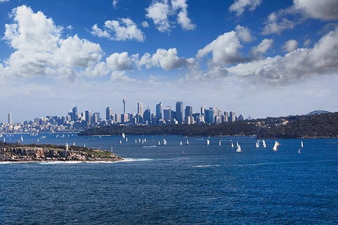 Sydney With Bondi And Beaches Essentials Private Day Tour - Accommodation NSW 7
