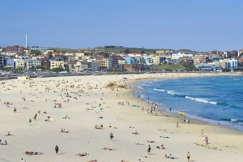 Sydney With Bondi And Beaches Essentials Private Day Tour - Accommodation NSW 2