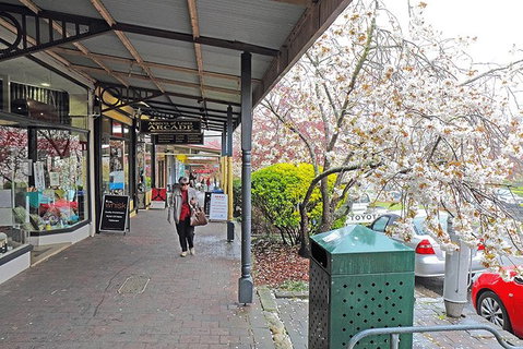 Blue Mountains Highlights, Wildlife Park And Scenic World Full Day Private Tour - Accommodation NSW 2