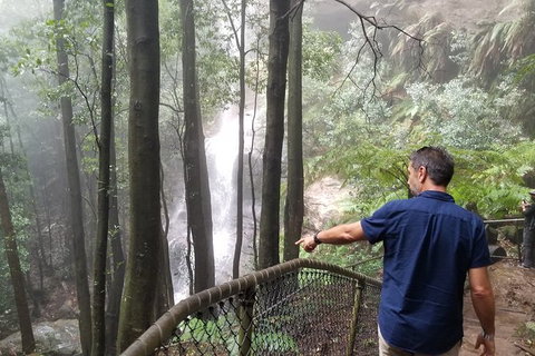 Blue Mountains Highlights, Wildlife Park And Scenic World Full Day Private Tour - Accommodation NSW 6