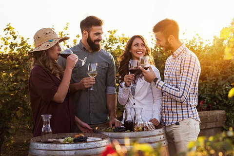 Hunter Valley Highlights Private Wine Tour From Sydney - Accommodation NSW 0