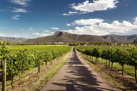 Hunter Valley Highlights Private Wine Tour From Sydney - Accommodation NSW 2